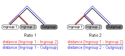 Ortholuge Ratios